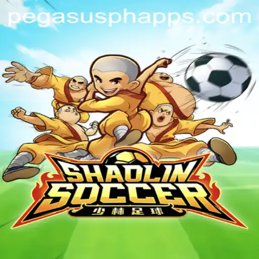 ShaolinSoccer: Mastering the Art of Football with a Martial Arts Twist